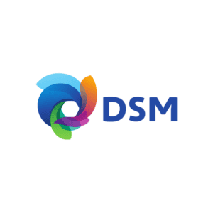 DSM, organisator van een event bij Beachclub Degreez in Limburg.